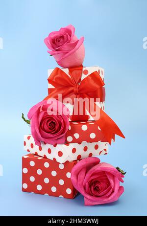 Geschenkschachteln rot und weiß mit Tupfen und Schleife und Rosen auf blauem Hintergrund. Feiertag, Valentinstag, Internationaler Frauen- und Muttertag, 8. März, Stockfoto