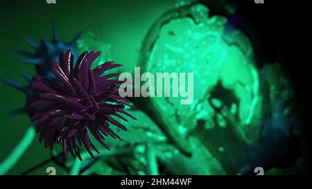 3D Illustration - Flurona, Doppelinfektion von Covid und Grippe. Mutiertes Coronavirus SARS-CoV-2. Stockfoto