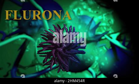 3D Illustration - Flurona, Doppelinfektion von Covid und Grippe. Mutiertes Coronavirus SARS-CoV-2. Stockfoto