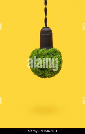 Konzept für grüne Energie. Glühbirne aus grünen Pflanzen. Symbol der reinen Natur ohne umweltschädlichen Abfall. Stockfoto