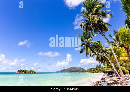 Cote D'Or Beach (Anse Volbert) auf Praslin Island, wunderschöner tropischer Sandstrand mit üppigen Kokospalmen, azurblauem Meer und ohne Menschen. Stockfoto