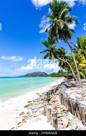 Cote D'Or Beach (Anse Volbert) auf Praslin Island, wunderschöner tropischer Sandstrand mit üppigen Kokospalmen, azurblauem Ozean und ohne Menschen, Holzpfälle Stockfoto