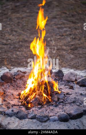Lagerfeuer mitten im Nirgendwo. Brennende Tannenzapfen. Stockfoto