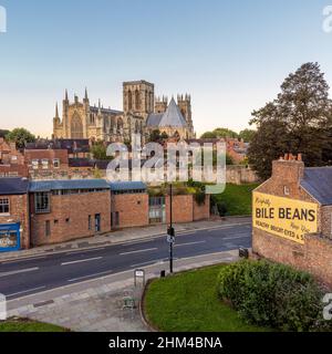 Mächtige Gallenbohnen-Schild an einer Außenwand des Hauses auf Lord Mayors Walk mit den Barwänden und York Minster in der Ferne York, Großbritannien. Stockfoto