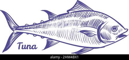 Thunfisch im Skizzenstil. Symbol für Meerestiere Stock Vektor
