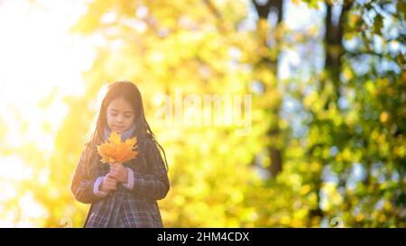 Süße kleine Mädchen Spaziergänge in einem schönen Herbst Park bei Sonnenuntergang. Mit einem Bouquet von Herbstlaub. Stockfoto