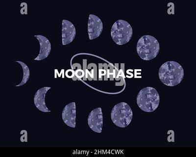 Mondphase. Strukturierte Oberfläche des Mondes. Mondphasen während des gesamten Zyklus. Crescent-Design. Astronomische Beobachtung des Erdsatelliten f Stock Vektor