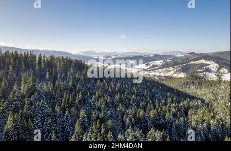 Winterlandschaft in den Bergen. Die Hügel sind mit Fichtenwald und Schnee bedeckt. Stockfoto