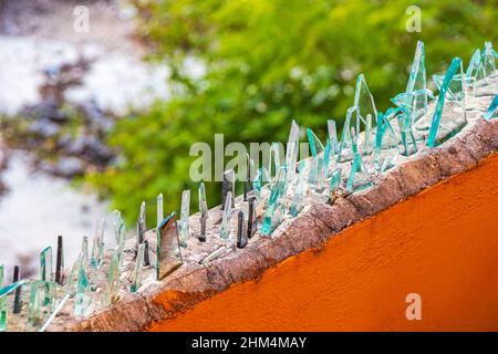 Gefährliche Wand mit zerbrochenen Glasscherben Flaschen in Luis Donaldo Colosio Playa del Carmen Mexiko. Stockfoto