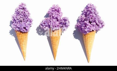 Waffelkegel mit Fliederblüten und harten Schatten isoliert auf weißem Hintergrund. Kühles Blumeneis für heiße Sommertage Konzept. Stockfoto