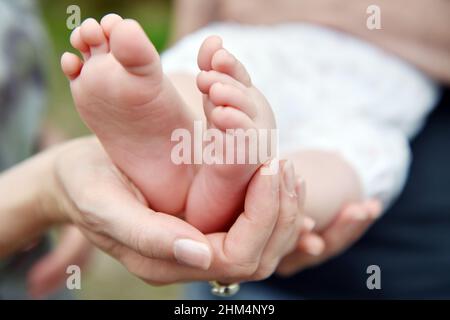 Babyfüße, ein Elternteil fasst ihre neugeborenen Babyfüße in die Hand. Stockfoto