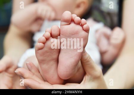 Babyfüße, ein Elternteil fasst ihre neugeborenen Babyfüße in die Hand. Stockfoto