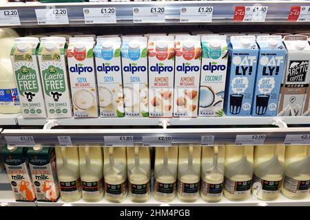 Verschiedene Milchsorten auf Verkauf in einem Supermarkt UK Stockfoto