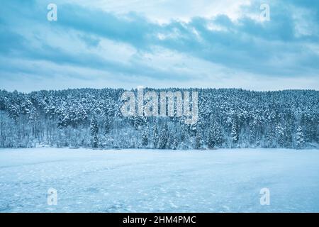Drone Blick von oben gefrorenen See und Fichten und Kiefern dichten Wald im Winter. Schöne Winterlandschaft bei bewölktem Wetter. Baumzweige bedeckt mit Stockfoto