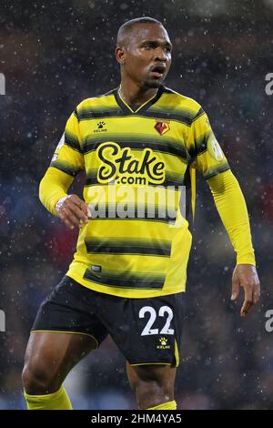 SAMIR, WATFORD FC, 2022 Stockfoto