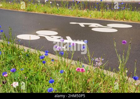 Fahrradweg, umgeben von Wildblumen. Umweltfreundliche Fahrradinfrastruktur in der Stadt. Ile-de-France. Frankreich Stockfoto