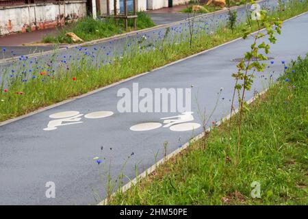 Fahrradweg, umgeben von Wildblumen. Umweltfreundliche Fahrradinfrastruktur in der Stadt. Ile-de-France. Frankreich Stockfoto