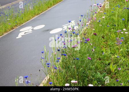 Fahrradweg, umgeben von Wildblumen. Umweltfreundliche Fahrradinfrastruktur in der Stadt. Ile-de-France. Frankreich Stockfoto