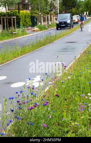 Fahrrad- und Autostraßen, die von Wildblumen umrandet sind. Stadt umweltfreundliche Straßeninfrastruktur. Ile-de-France, Frankreich. Stockfoto