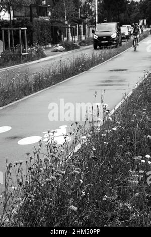 Fahrrad- und Autostraßen, die von Wildblumen umrandet sind. Stadt umweltfreundliche Straßeninfrastruktur. Frankreich. Historisches Foto in Schwarzweiß Stockfoto