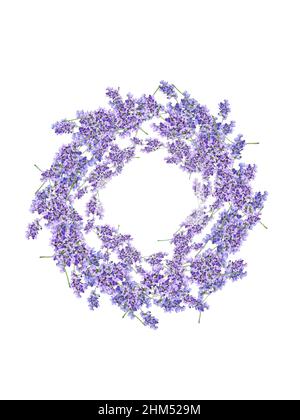 Frische Lavendel Blumen Dekoration isoliert auf weißem Hintergrund. Herbstkranz in violetten Tönen. Stockfoto