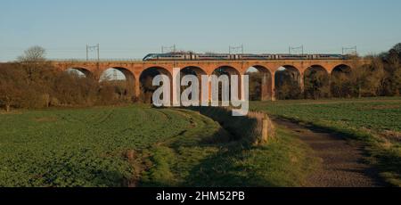 Der Trans Pennine-Zug überquert an einem Herbstnachmittag in der Grafschaft Durham das Viadukt über Ackerland Stockfoto