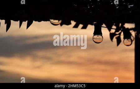 Transparente Glühbirne am Nachmittag mit orangefarbenem oder rosafarbenem Himmel im Hintergrund. Hintergrundbild mit Platz. Stockfoto