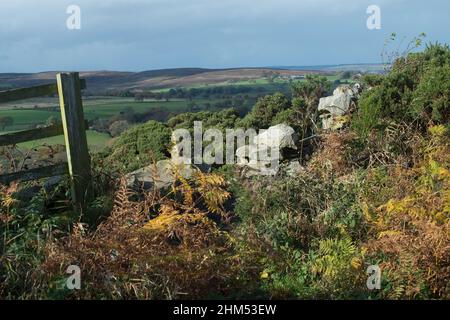Blick über eine bröckelnde Trockensteinmauer mit Zaun zur Seite über Ackerland und Moore in der Grafschaft Durham Stockfoto
