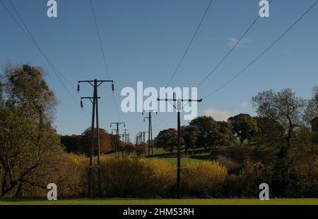 Zweireihige Stromleitungen auf hohen Pylonen, die sich bei herbstlicher Sonne bis in die Ferne erstrecken Stockfoto