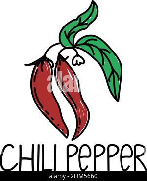 Chilli, gezeichnetes Element im Doodle-Stil. Logo und Emblem Verpackungsdesign Vorlage - Kräuter und Gewürze - Paprika Schoten. Logo in einem trendigen Linear Stock Vektor