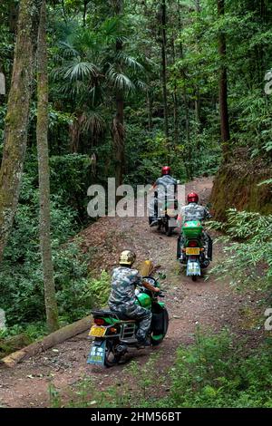 Chongqing Bergwald Feuerpatrouille Stockfoto