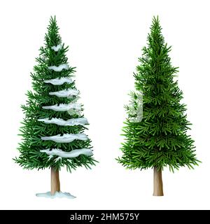 Realistischer Vektor Kiefernbaum isolieren. Pflanze mit grünem Laub. Wald Natur und Ökologie. Parken Stock Vektor