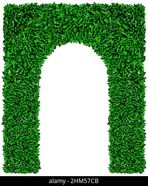 Grüner Bogen und Buschzaun aus Efeu Stock Vektor