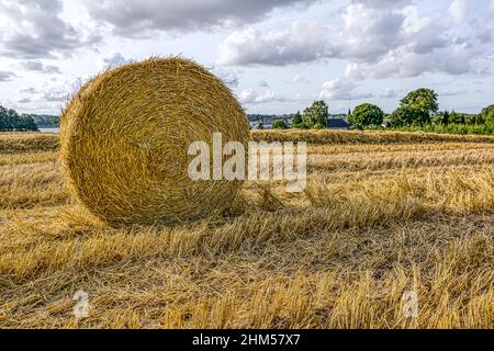 Großer runder Heuballen in einem Stoppelfeld, ein heller sommertag in Jütland, Dänemark, 27. August 2017 Stockfoto