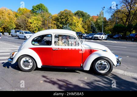 Bukarest, Rumänien, 24. Oktober 2021: Ein lebendiger rot-weißer Volkswagen Beetle deutscher Oldtimer im Verkehr auf einer Straße bei einer Veranstaltung für Oldtimer Stockfoto