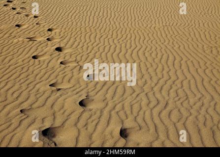 Ein paar Fußabdrücke an einem Sandstrand Stockfoto