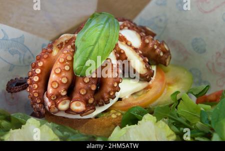 Octopus-Salat serviert mit Basilikum, Tomaten, Gurken. Italienische Snacks. Italienische Küche. Octopus-Salat mit Olivenöl, Zitrone und Petersilie Stockfoto