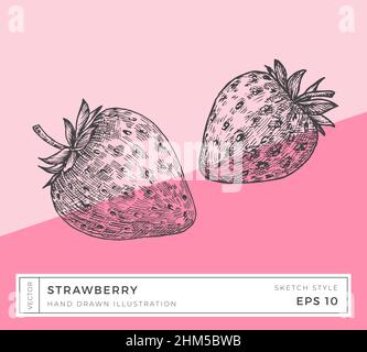 Handgezeichneter Vektor Erdbeerbeeren Illustration. Vegane Pflanzenbasierte Lebensmittelzeichnung mit buntem Hintergrund isoliert Stock Vektor