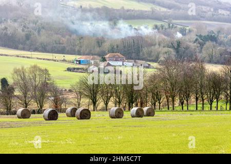 Countryszene auf einem Spaziergang vom Dorf Eynsford in der Nähe von Dartford in Kent, England Stockfoto