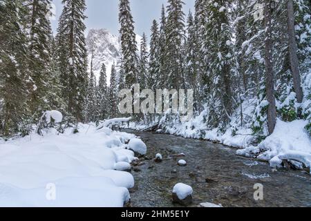 Ein kleiner Bach, der im Winter am Emerald Lake, Yoho National Park, British Columbia, Kanada, durch den Wald fließt. Stockfoto