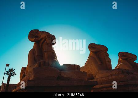 Mehrere Widderstatuen in Reihe um den karnak-Tempel in luxor. Überreste der großen alten ägyptischen Zivilisation Stockfoto