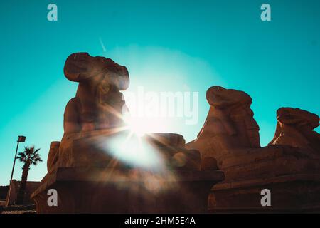 Mehrere Widderstatuen in Reihe um den karnak-Tempel in luxor. Überreste der großen alten ägyptischen Zivilisation Stockfoto