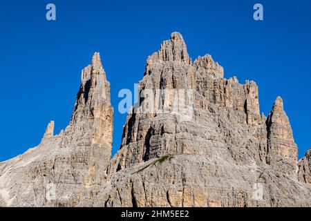 Gipfel und Felswände von Torri di Vajolet, vom Tal Val de Vajolet der Rosengarten-Gruppe aus gesehen. Stockfoto