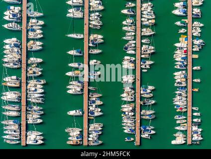 Luftbild, Hafen von Alcudia, Yachthafen, Segelboote, Port d'Alcúdia, Türkisfarbenes Wasser, Alcudia, Pla de na Tesa, Cabaneta (Sa), Mallorca, Baleareninsel, B Stockfoto