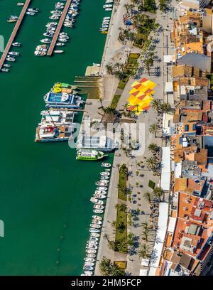 Luftbild, Hafen von Alcudia, Yachthafen, Segelboote, Port d'Alcúdia, Türkisfarbenes Wasser, Alcudia, Pla de na Tesa, Cabaneta (Sa), Mallorca, Baleareninsel, B Stockfoto