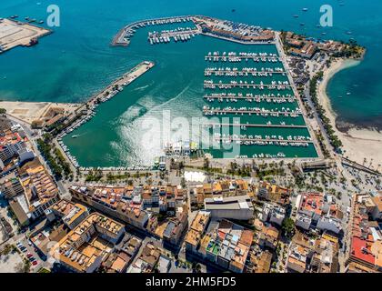 Luftbild, Hafen von Alcudia, Yachthafen, Segelboote, Port d'Alcúdia, Türkisfarbenes Wasser, Alcudia, Pla de na Tesa, Cabaneta (Sa), Mallorca, Baleareninsel, B Stockfoto