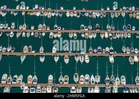 Luftbild, Hafen von Alcudia, Yachthafen, Segelboote, Port d'Alcúdia, Türkisfarbenes Wasser, Alcudia, Pla de na Tesa, Cabaneta (Sa), Mallorca, Baleareninsel, B Stockfoto