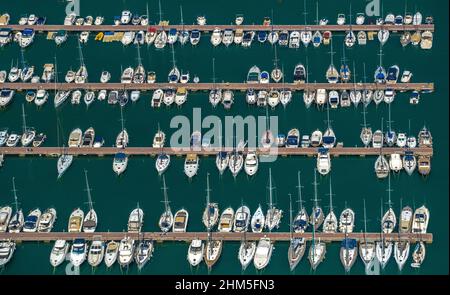 Luftbild, Hafen von Alcudia, Yachthafen, Segelboote, Port d'Alcúdia, Türkisfarbenes Wasser, Alcudia, Pla de na Tesa, Cabaneta (Sa), Mallorca, Baleareninsel, B Stockfoto