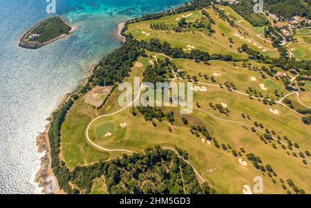 Luftaufnahme, Club de Golf Alcanada, Alcanada Lighthouse Island, in türkisgrünem Wasser, Alcanada Lighthouse Illa Alcanada, Pont d'Inca, Sa Creu Verm Stockfoto