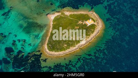 Luftaufnahme, Alcanada Lighthouse Island, im türkisgrünen Wasser, Alcanada Lighthouse Illa Alcanada, Pont d'Inca, Sa Creu Vermella/La Creu Vermella, Stockfoto